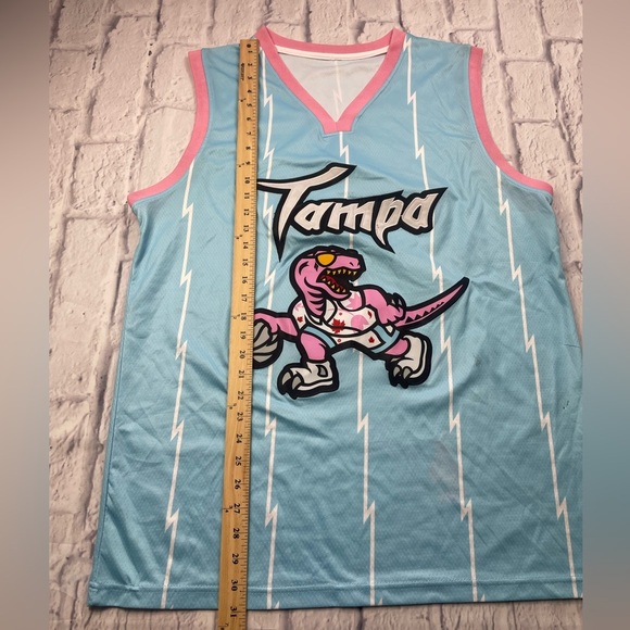 Tampa Bay Raptors “Toronto Raptors” Basketball Jersey Limited Edition Sz L - Picture 5 of 7